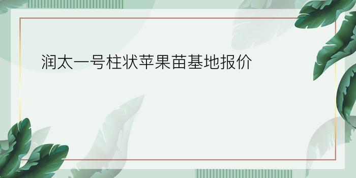 润太一号柱状苹果苗基地报价