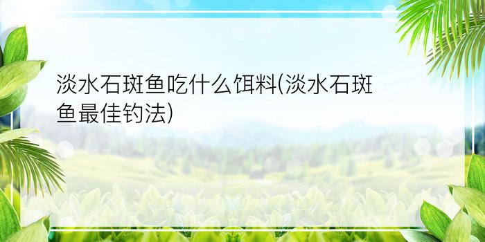 淡水石斑鱼吃什么饵料(淡水石斑鱼最佳钓法)