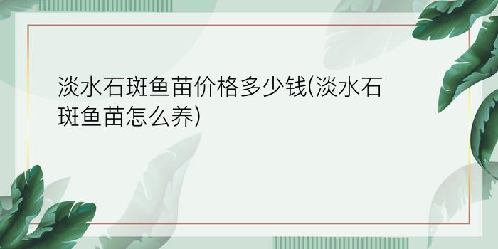 淡水石斑鱼苗价格多少钱(淡水石斑鱼苗怎么养)