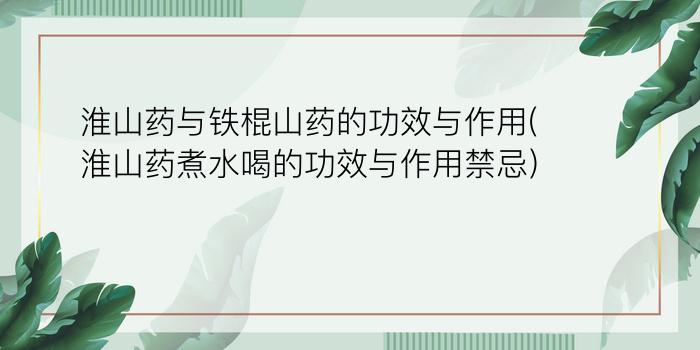 淮山药与铁棍山药的功效与作用(淮山药煮水喝的功效与作用禁忌)