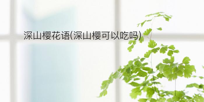 深山樱花语(深山樱可以吃吗)