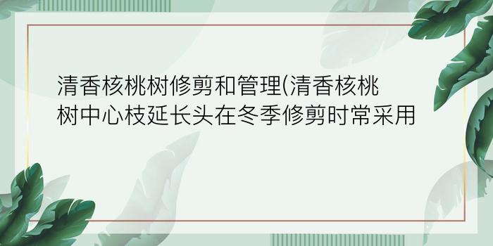 清香核桃树修剪和管理(清香核桃树中心枝延长头在冬季修剪时常采用)