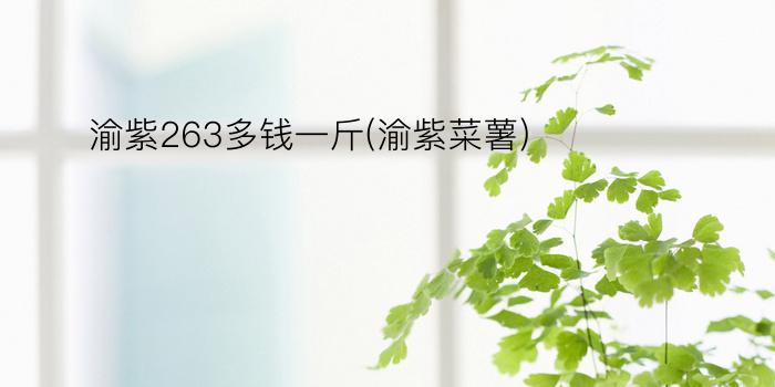 渝紫263多钱一斤(渝紫菜薯)