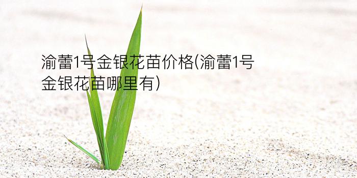 渝蕾1号金银花苗价格(渝蕾1号金银花苗哪里有)