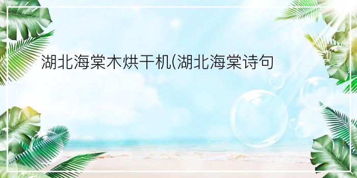 湖北海棠木烘干机(湖北海棠诗句)