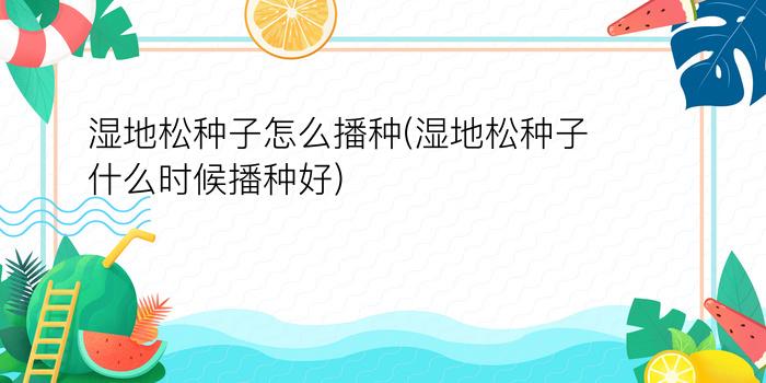 湿地松种子怎么播种(湿地松种子什么时候播种好)