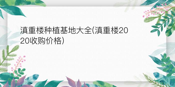 滇重楼种植基地大全(滇重楼2020收购价格)