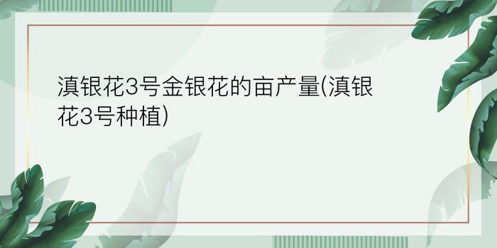 滇银花3号金银花的亩产量(滇银花3号种植)