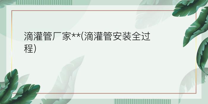 滴灌管厂家**(滴灌管安装全过程)