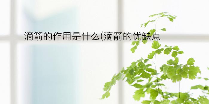 滴箭的作用是什么(滴箭的优缺点)