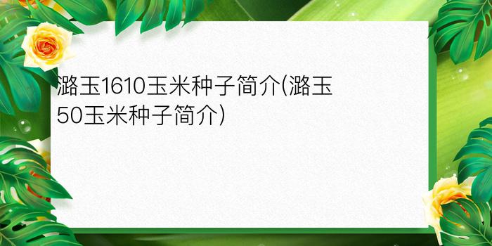 潞玉1610玉米种子简介(潞玉50玉米种子简介)