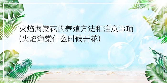 火焰海棠花的养殖方法和注意事项(火焰海棠什么时候开花)