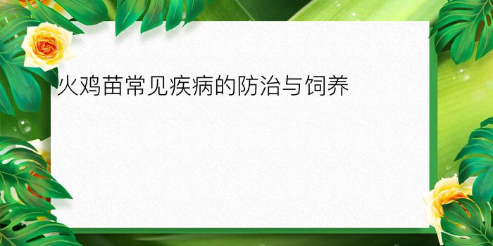 火鸡苗常见疾病的防治与饲养