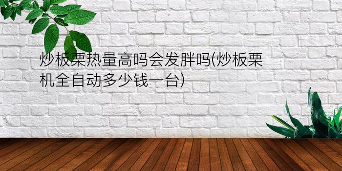 炒板栗热量高吗会发胖吗(炒板栗机全自动多少钱一台)