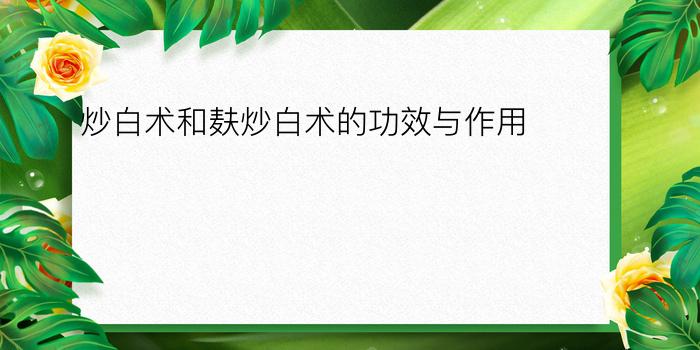 炒白术和麸炒白术的功效与作用