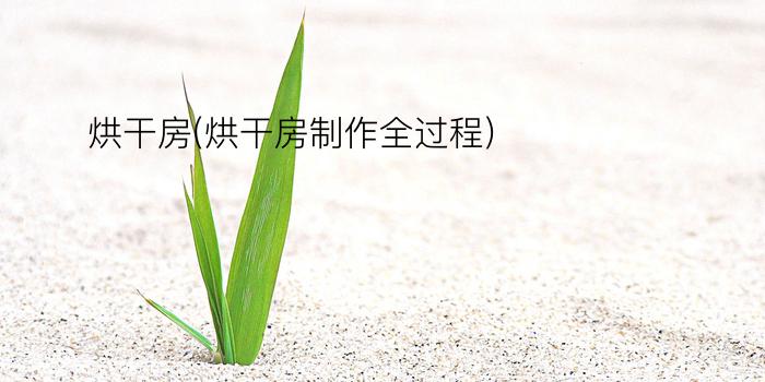 烘干房(烘干房制作全过程)