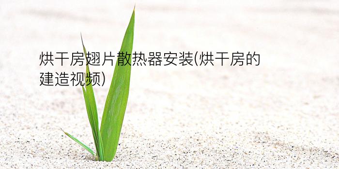 烘干房翅片散热器安装(烘干房的建造视频)