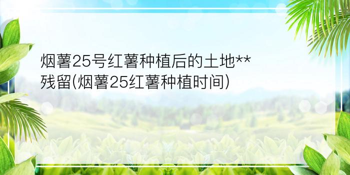 烟薯25号红薯种植后的土地**残留(烟薯25红薯种植时间)