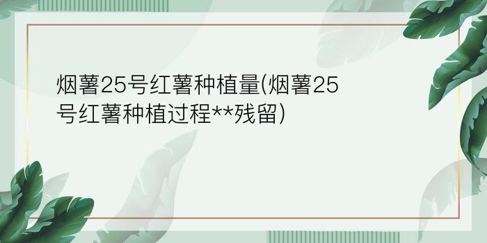 烟薯25号红薯种植量(烟薯25号红薯种植过程**残留)