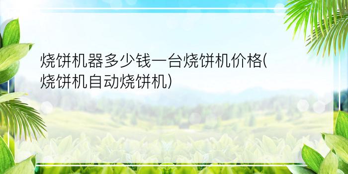 烧饼机器多少钱一台烧饼机价格(烧饼机自动烧饼机)