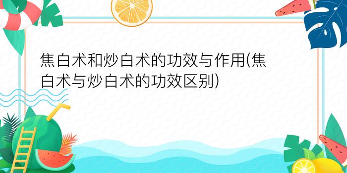 焦白术和炒白术的功效与作用(焦白术与炒白术的功效区别)