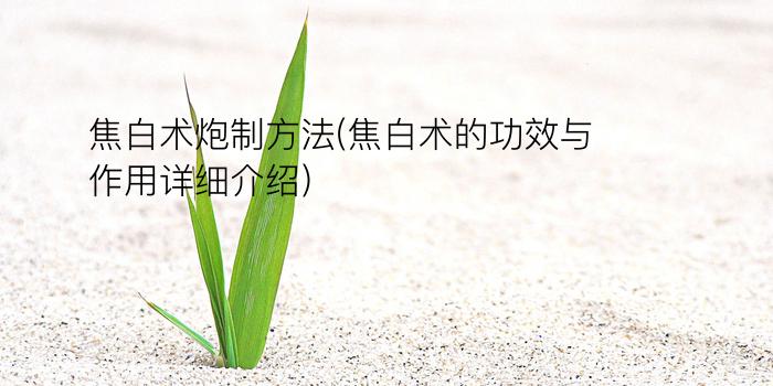 焦白术炮制方法(焦白术的功效与作用详细介绍)