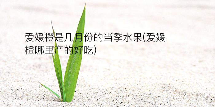 爱媛橙是几月份的当季水果(爱媛橙哪里产的好吃)