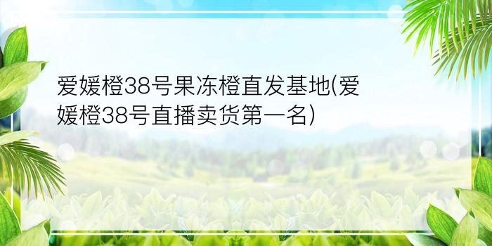 爱媛橙38号果冻橙直发基地(爱媛橙38号直播卖货第一名)