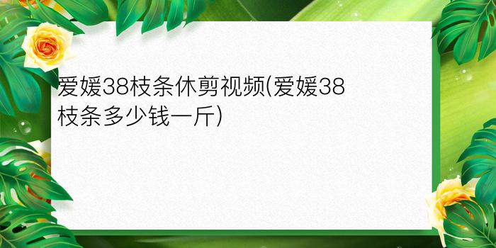 爱媛38枝条休剪视频(爱媛38枝条多少钱一斤)