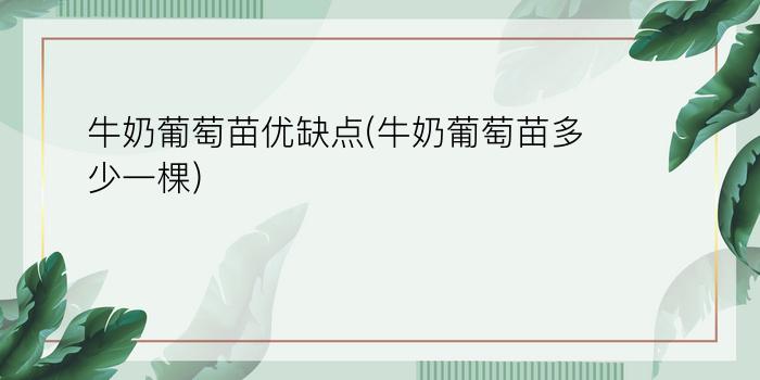 牛奶葡萄苗优缺点(牛奶葡萄苗多少一棵)