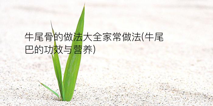 牛尾骨的做法大全家常做法(牛尾巴的功效与营养)