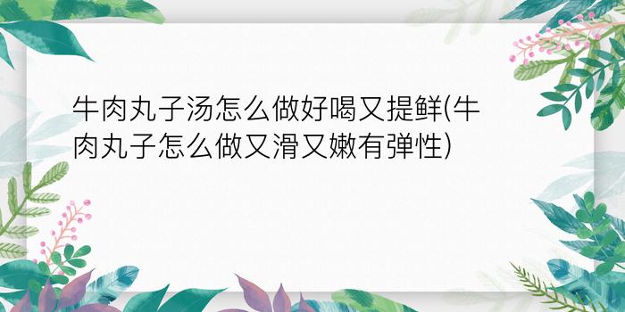 牛肉丸子汤怎么做好喝又提鲜(牛肉丸子怎么做又滑又嫩有弹性)