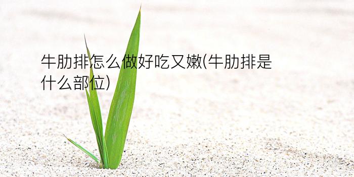 牛肋排怎么做好吃又嫩(牛肋排是什么部位)