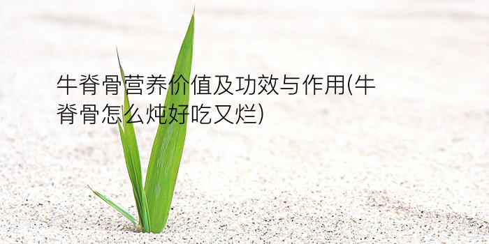 牛脊骨营养价值及功效与作用(牛脊骨怎么炖好吃又烂)