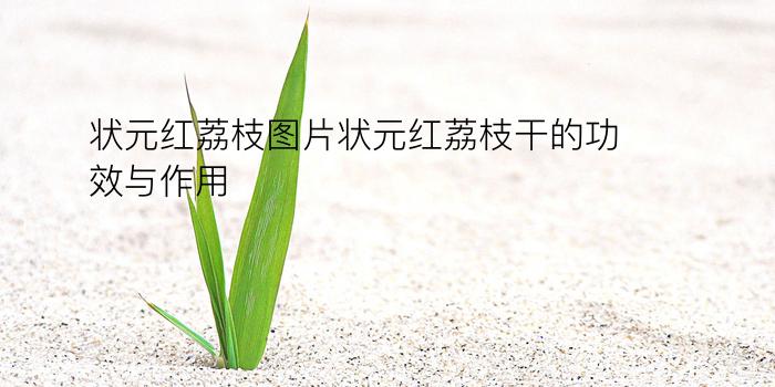 状元红荔枝图片状元红荔枝干的功效与作用