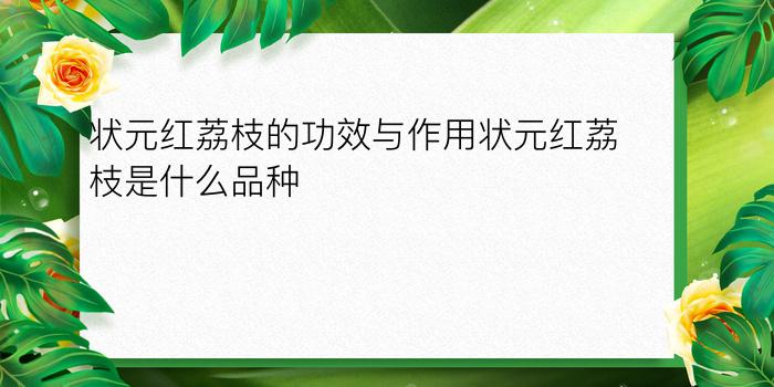 状元红荔枝的功效与作用状元红荔枝是什么品种