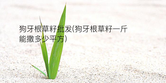 狗牙根草籽批发(狗牙根草籽一斤能撒多少平方)