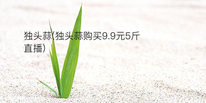 独头蒜(独头蒜购买9.9元5斤直播)