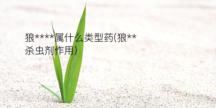 狼****属什么类型药(狼**杀虫剂作用)