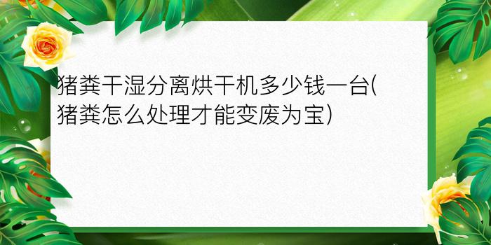 猪粪干湿分离烘干机多少钱一台(猪粪怎么处理才能变废为宝)