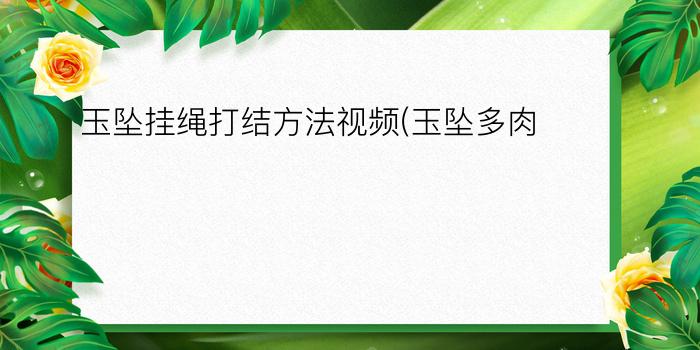 玉坠挂绳打结方法视频(玉坠多肉)