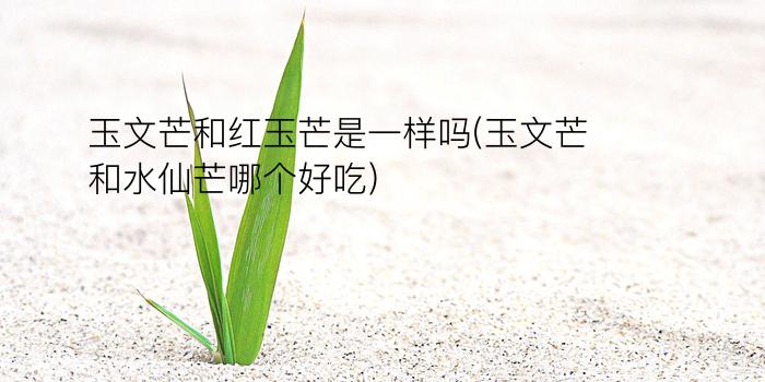 玉文芒和红玉芒是一样吗(玉文芒和水仙芒哪个好吃)