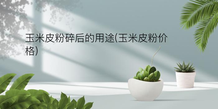 玉米皮粉碎后的用途(玉米皮粉价格)