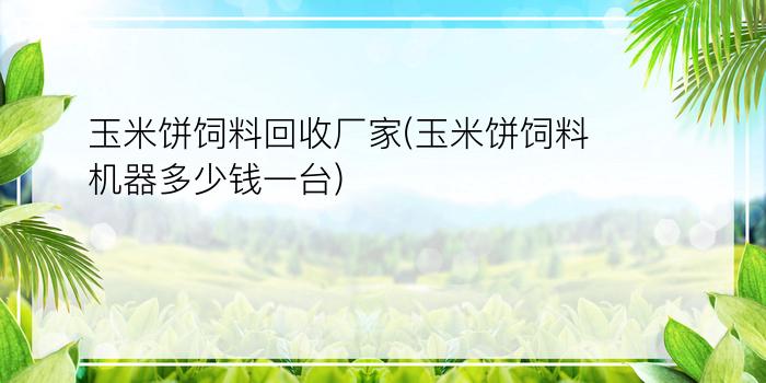 玉米饼饲料回收厂家(玉米饼饲料机器多少钱一台)
