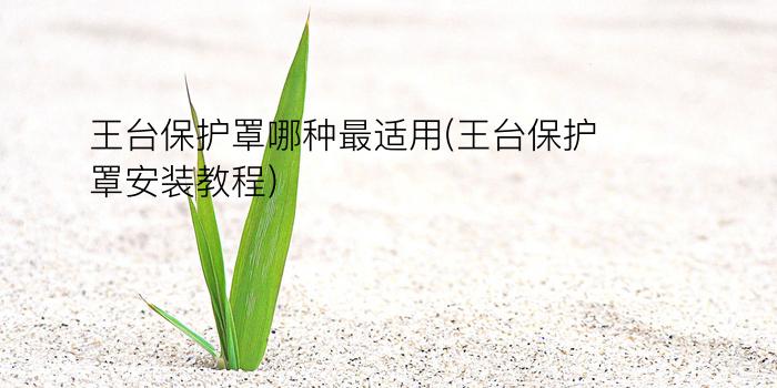 王台保护罩哪种最适用(王台保护罩安装教程)