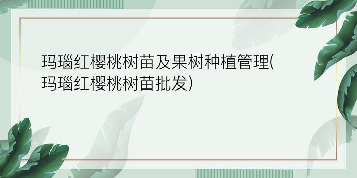 玛瑙红樱桃树苗及果树种植管理(玛瑙红樱桃树苗批发)