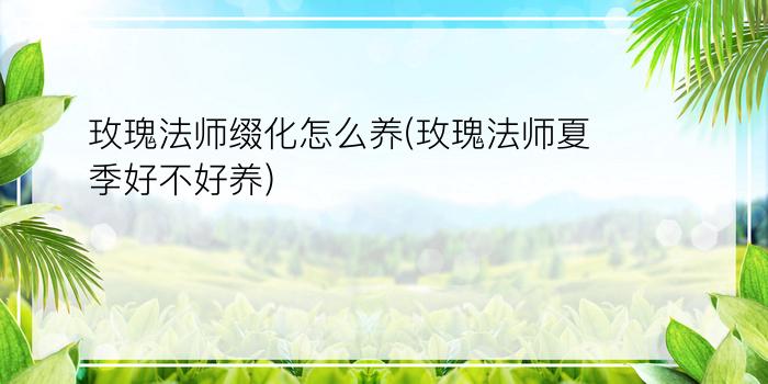 玫瑰法师缀化怎么养(玫瑰法师夏季好不好养)