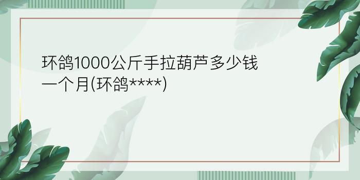 环鸽1000公斤手拉葫芦多少钱一个月(环鸽****)