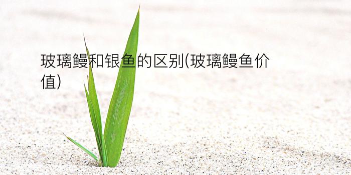 玻璃鳗和银鱼的区别(玻璃鳗鱼价值)