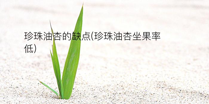 珍珠油杏的缺点(珍珠油杏坐果率低)